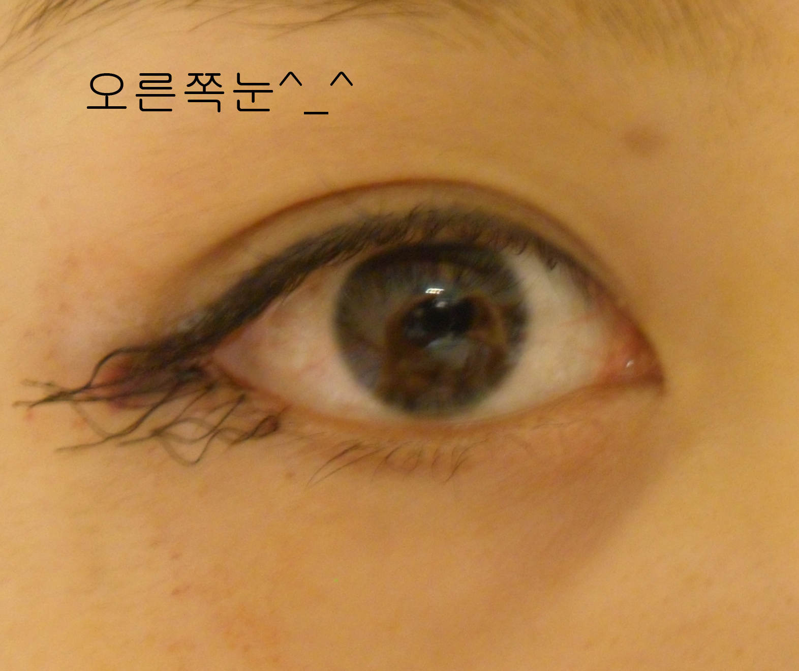 마이더스의손님 후기 사진